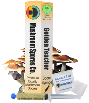 golden teacher spore syringe product image