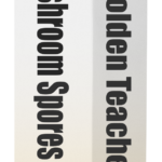 golden teacher spore syringe box