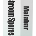 malabar spore syringe box