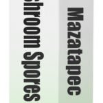 Mazatapec spore syringe box