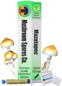 Mazatapec spore syringe