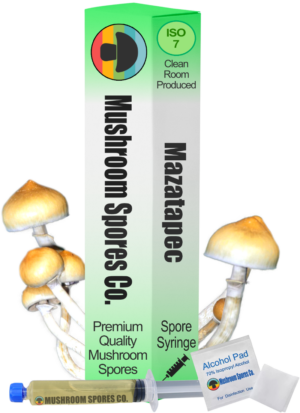 Mazatapec spore syringe