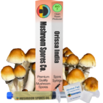 Orissa India Spore Syringe
