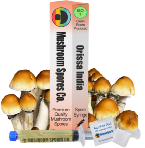 Orissa India Spore Syringe