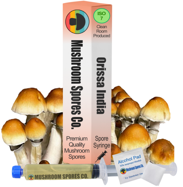 Orissa India Spore Syringe