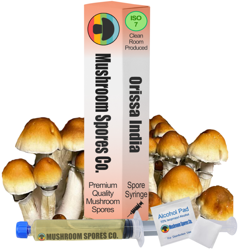 Orissa India Spore Syringe