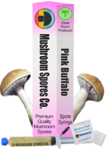 Pink Buffalo spore syringe