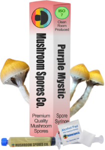 Pruple Mystic spore syringe