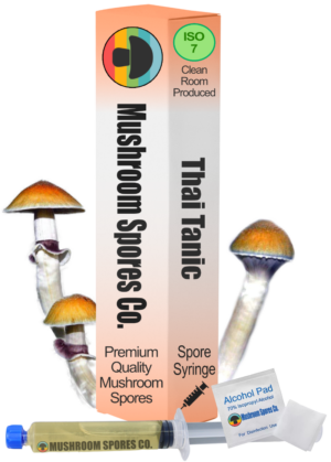 Thai Tanic spore syringe
