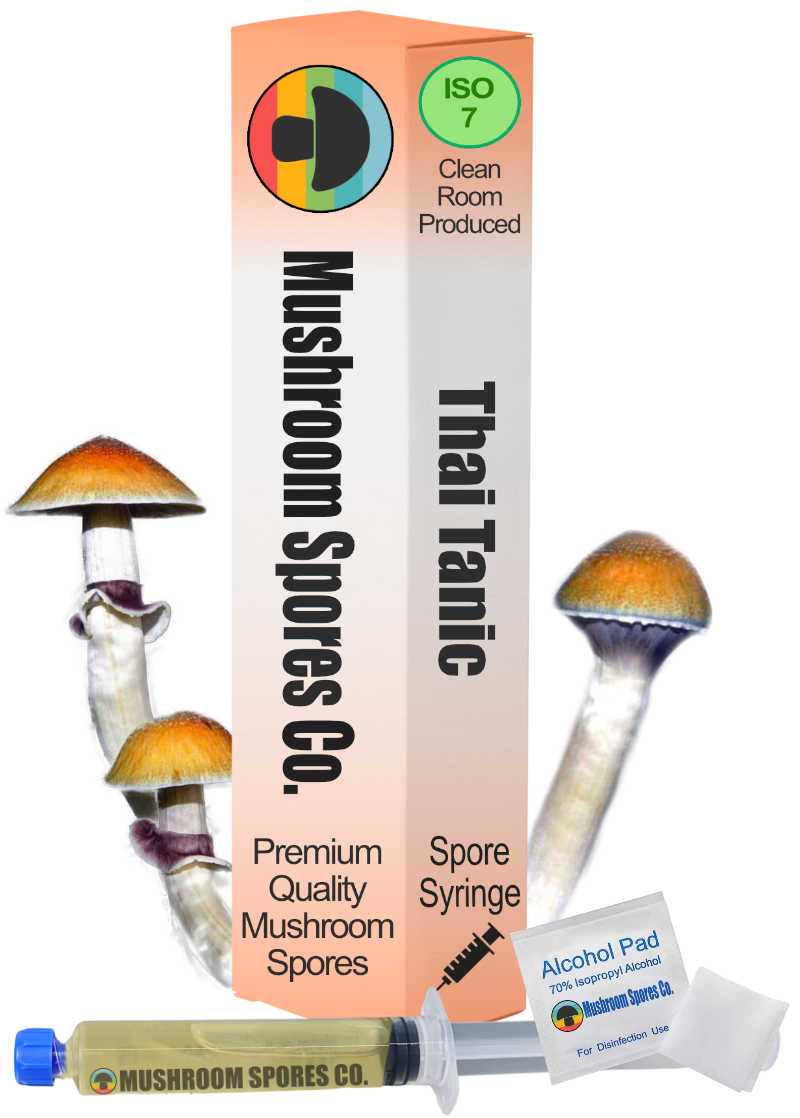 Thai Tanic spore syringe