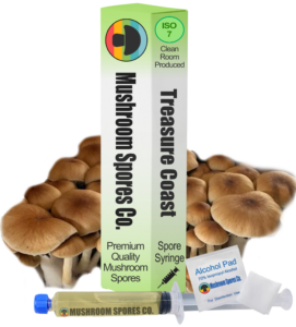 Treasure Coast Spore Syringe