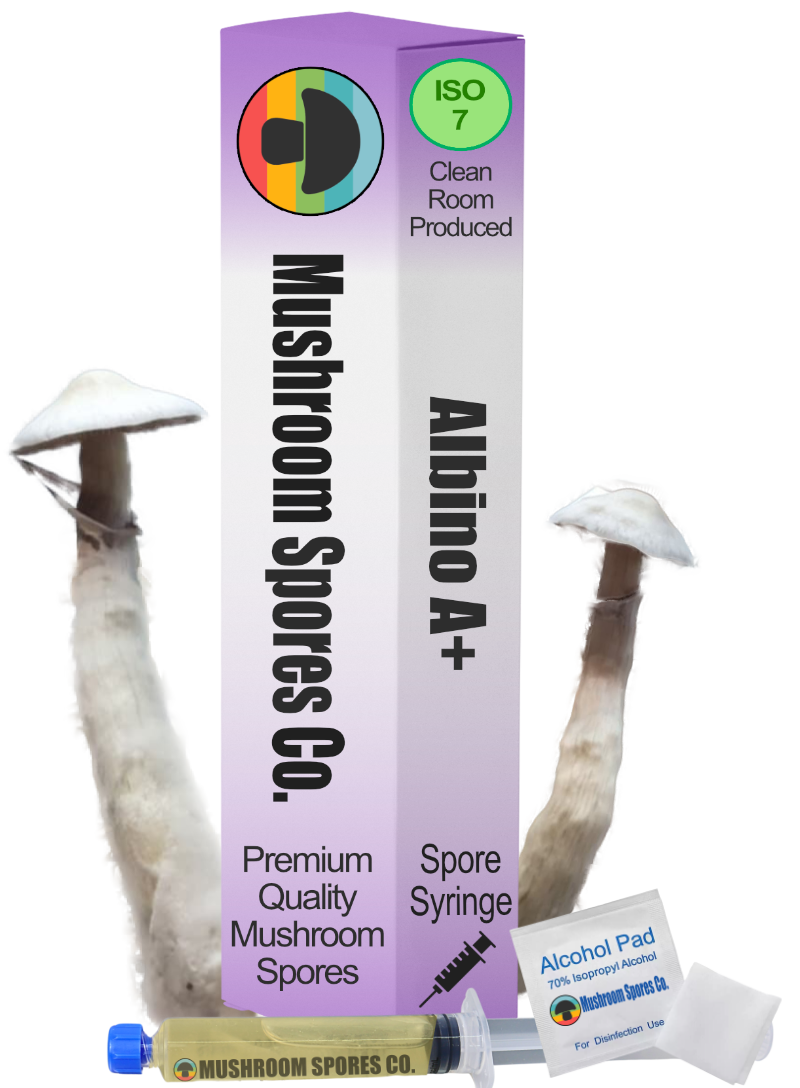 albino a+ spore syringe