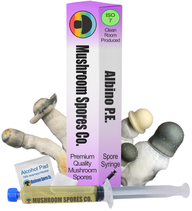 albino pe spore syringe