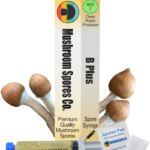 b plus spore syringe
