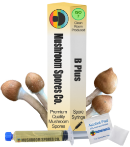 b plus spore syringe