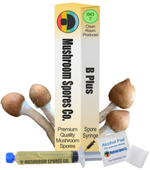b plus spore syringe