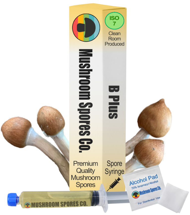 b plus spore syringe