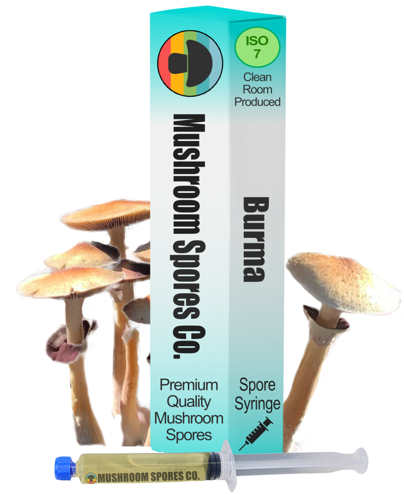 burma spore syringe
