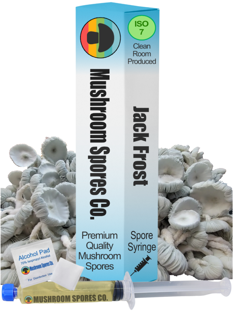 jack frost spore syringe
