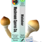 malabar spore syringe