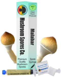 malabar spore syringe