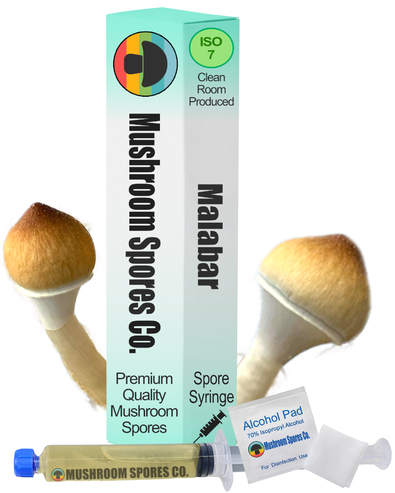 malabar spore syringe