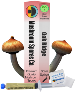 oak ridge spore syringe